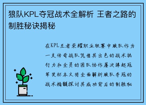 狼队KPL夺冠战术全解析 王者之路的制胜秘诀揭秘